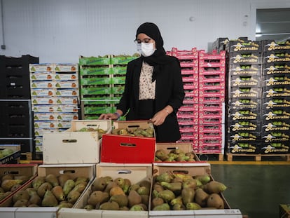 Lamia Azzi, hija de los propietarios marroquíes de la empresa de frutas Azahara, en sus almacenes y dependencias donde dirige el negocio familiar.