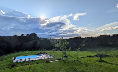 foto ficha BASOAN