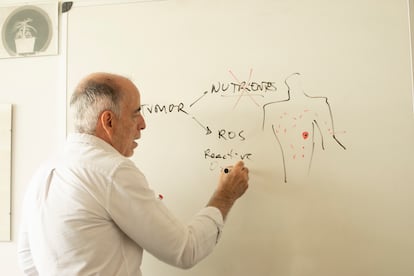 Jesús Santamaría, en su despacho del Instituto de Nanociencia y Materiales de Aragón, en Zaragoza, el 10 de julio.