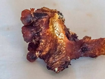 Cráneo parcial con tres dientes hallado en los restos del naufragio.