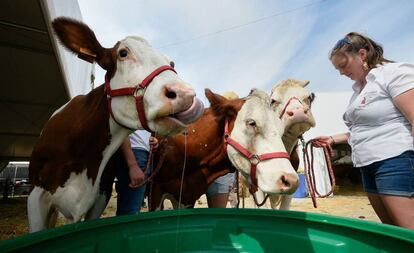 Feria agrícola en Libramont (Bélgica), uno de los sectores afectados por el acuerdo con Mercosur, el pasado jueves.