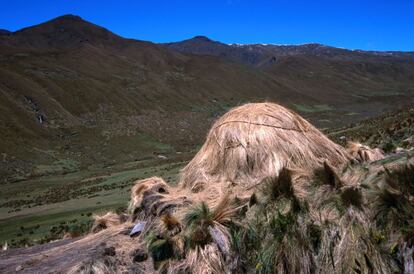 Una de las caba&ntilde;as de paja usadas por los pastores a lo largo del Camino Inca. 