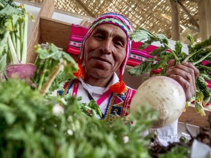 Productor hortícola del 'Gran Mercado' de Mistura.