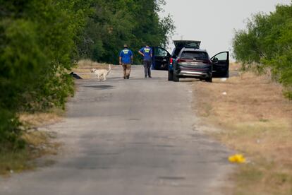 Un canino y dos trabajadores de búsqueda recorren el sitio.