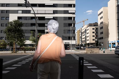 La Avenida Miguel Delibes en El Cañaveral.