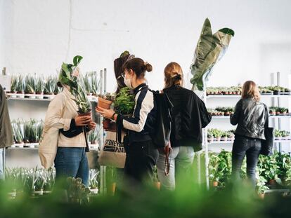 Imagen de una de las ediciones pasadas de Maison Bouture, el evento efímero que se celebra periódicamente en el Espacio Rastro de Madrid.