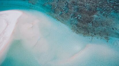 Situada en el extremo noroeste de Australia, la costa de Ningaloo es patrimonio mundial de la Unesco. La ciudad de Exmouth es la base perfecta para explorar los grandiosos paisajes del parque nacional de Cape Range y las maravillas submarinas de la reserva marina de Ningaloo, que recibe visitantes de todo el mundo para nadar con los impresionantes gigantes del mar: los tiburones ballena, las mantas y las ballenas jorobadas. <br></br>Más información: australiascoralcoast.com/destination/exmouth