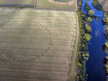 Imagen aérea del campo de cultivo bajo el cual yace el monumento.