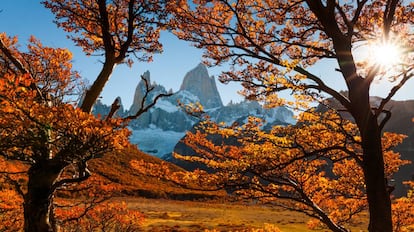 Otoño en el monte Fitz Roy en la Patagonia, Argentina.