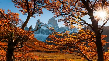 Otoño en el monte Fitz Roy en la Patagonia, Argentina.