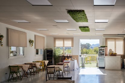 Interior del restaurante OXOX.