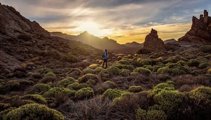 Cañadas del Teide, una de las muestras de ecosistema volcánico más espectaculares del planeta. 