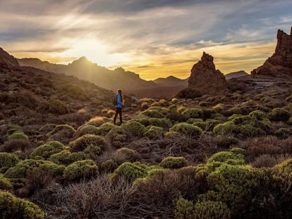 Cañadas del Teide, una de las muestras de ecosistema volcánico más espectaculares del planeta. 