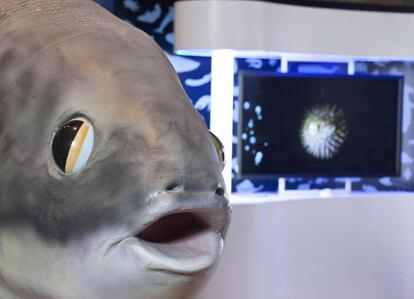 Parte de la exposición que estará hasta noviembre en Madrid.