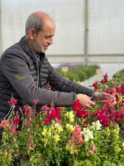 Jacobo Pereira recolectando flores de dragonaria.