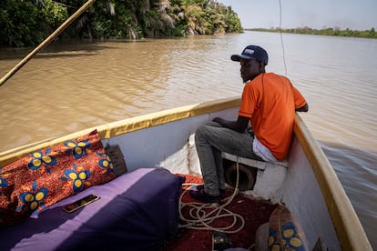 Jalamang Danso, a Gambian who works as a guide for tourists, steers his boat down the Gambia River.

