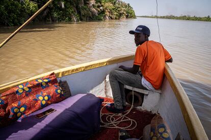 Jalamang Danso, a Gambian who works as a guide for tourists, steers his boat down the Gambia River.
