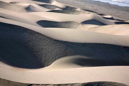 A Reserva Nacional de Paracas é uma área natural protegida pelo Estado devido à grande diversidade biológica de seu ecossistema marinho-costeiro. Está localizada em uma zona desértica na costa sul de Peru, 250 quilômetros ao sul de Lima, na região Ica.