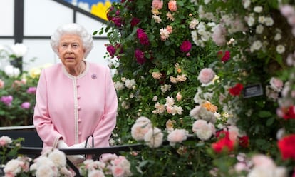 La reina Isabel II observa un montaje de rosas creado por Peter Beale durante su visita al Chelsea Flower Show de Londres.