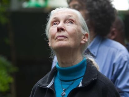 La primatóloga británica Jane Goodall en CosmoCaixa de Barcelona.