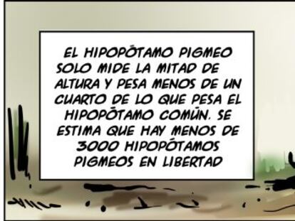 Ramón