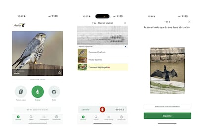 Captura de pantalla de la aplicación Merlín Bird ID