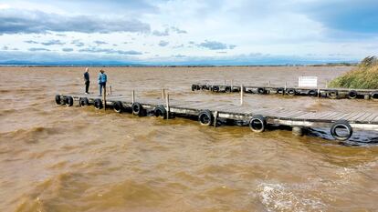 Las aguas marrones de la Albufera en una imagen tomada el pasado octubre.