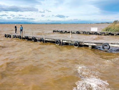 Las aguas marrones de la Albufera en una imagen tomada el pasado octubre.