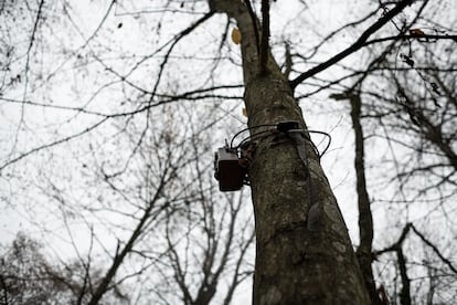 En el bosque, los guardias fronterizos han colocado cámaras para controlar movimientos y, segú migrantes, voluntarios y trabajadores de la salud, han dificultado el acceso a la ayuda médica. Durante los primeros 10 meses, la zona fronteriza estuvo herméticamente cerrada, impidiendo el acceso de organizaciones humanitarias y periodistas. Aunque esta prohibición ya se ha levantado, no hay ayuda significativa por parte de grandes organizaciones en el área. 