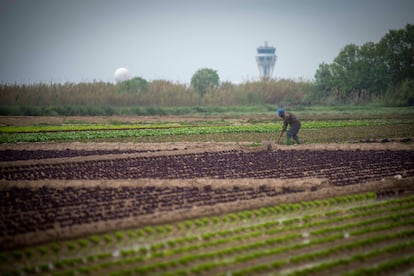 Un hombre trabaja la tierra con la torre de control de la T1 de fondo.