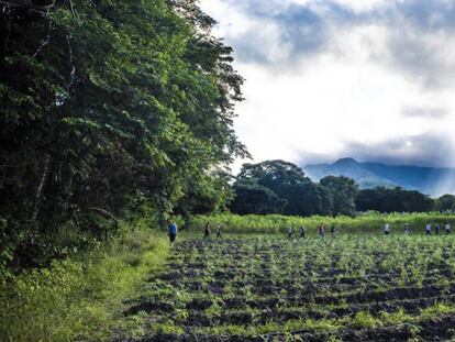 Excombatientes de las FARC en el Espacio Territorial de Capacitación y Reincorporación de Pondores.