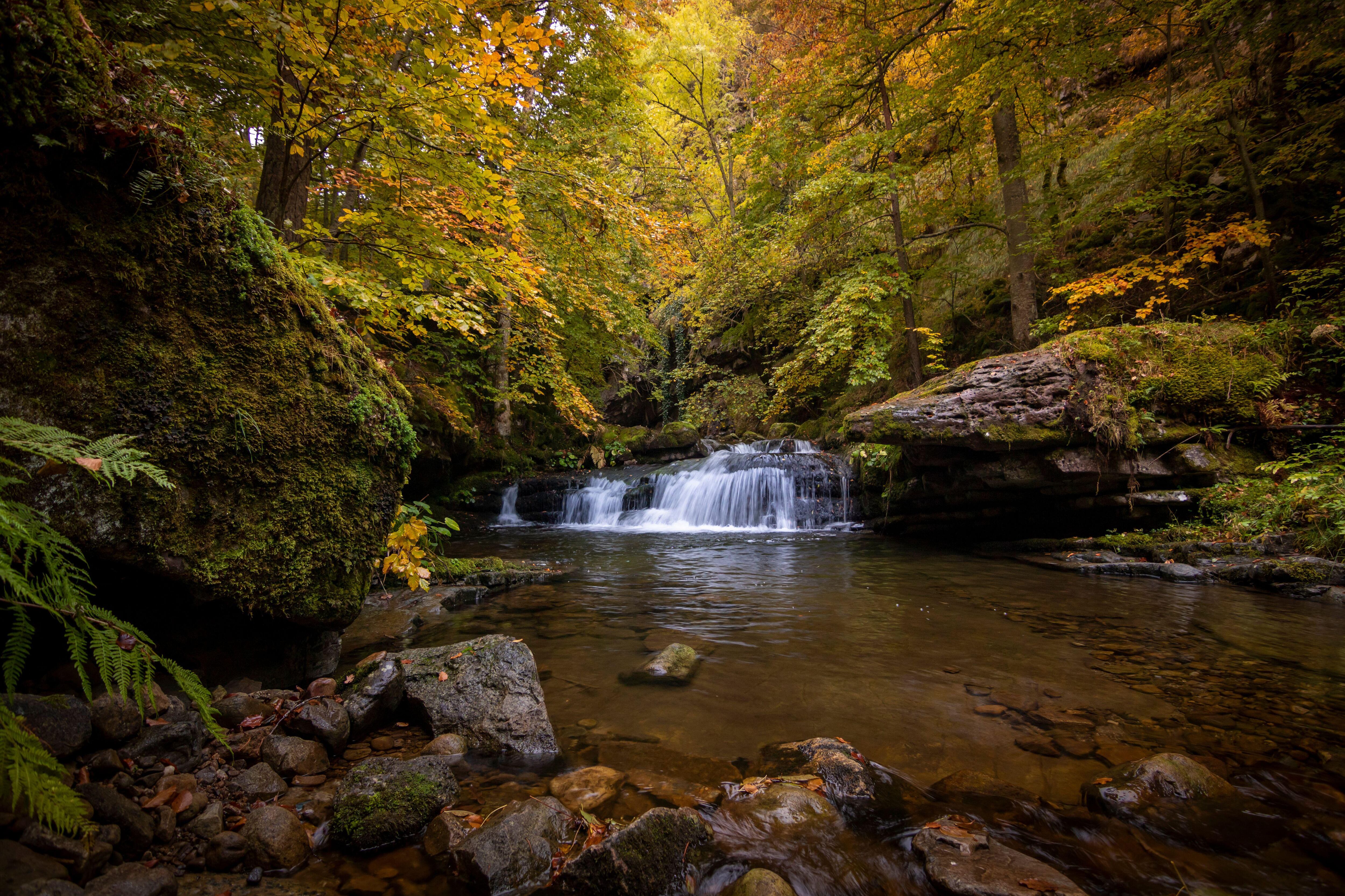 Bosque y cascada en la sierra de Cebollera, a caballo entre Soria, Burgos y La Rioja. 