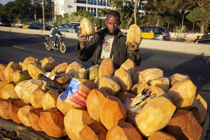 Por las mañanas vende en el mercado y por las tardes, en la Corniche de Dakar. Khadim Ba lleva años comercializando cocos entre la universidad de Dakar y la playa a la que muchos jóvenes acuden a diario para hacer deporte. Los carros llenos de este fruto son una seña de identidad de las calles de Dakar.