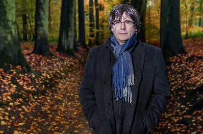 Puigdemont, en un bosque belga.