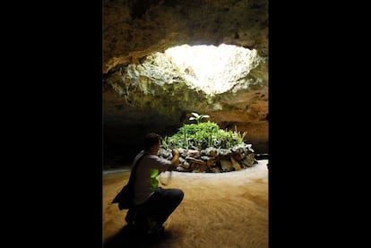 Hay cerca de 7.000 cenotes en la Riviera Maya, la fuerza de la naturaleza aparece en cada rincón. Los cenotes, lugares sagrados para los mayas, son formaciones de grutas profundas inundadas que reciben luz exterior, impresionantes piscinas naturales donde suele ser posible bañarse y bucear.