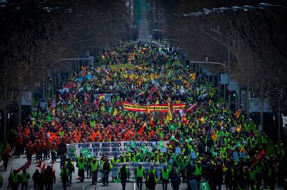 Miles de personas durante la protesta agrícola convocada este lunes en la ciudad de Madrid.
