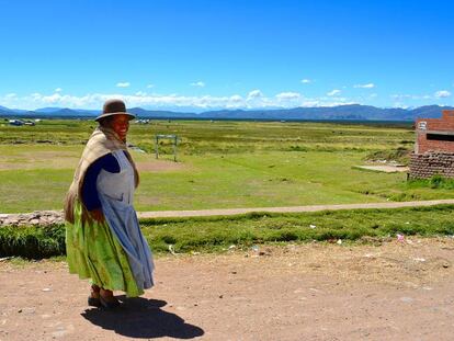 Una vecina de la población aymara de Huacullani, en el altiplano de Bolivia, el lugar más endémico de fasciolasis una de las enfermedades de la familia de las trematodiasis alimentarias.