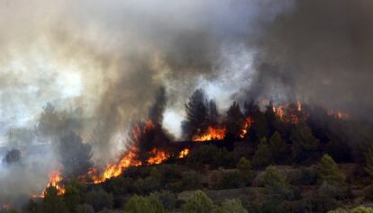 Vista general del incendio forestal en Pinet, el 7 de agosto.