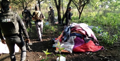 Los campamentos estaban camuflados en el bosque para que no los vieran desde el aire. La Fiscalía de Jalisco identificó puntos de calor en la sierra de Ahuisculco y fue así como logró localizarlos.