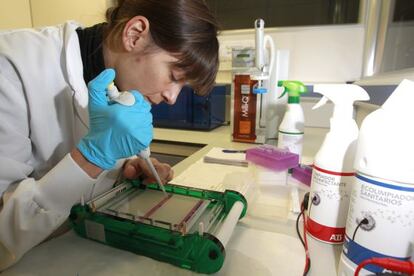 Dependencias de A&B Laboratorios de Biotecnología, en Vitoria.