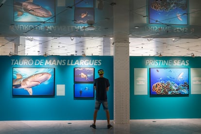 Imagen de la exposición en el Movistar Centre de Barcelona.

