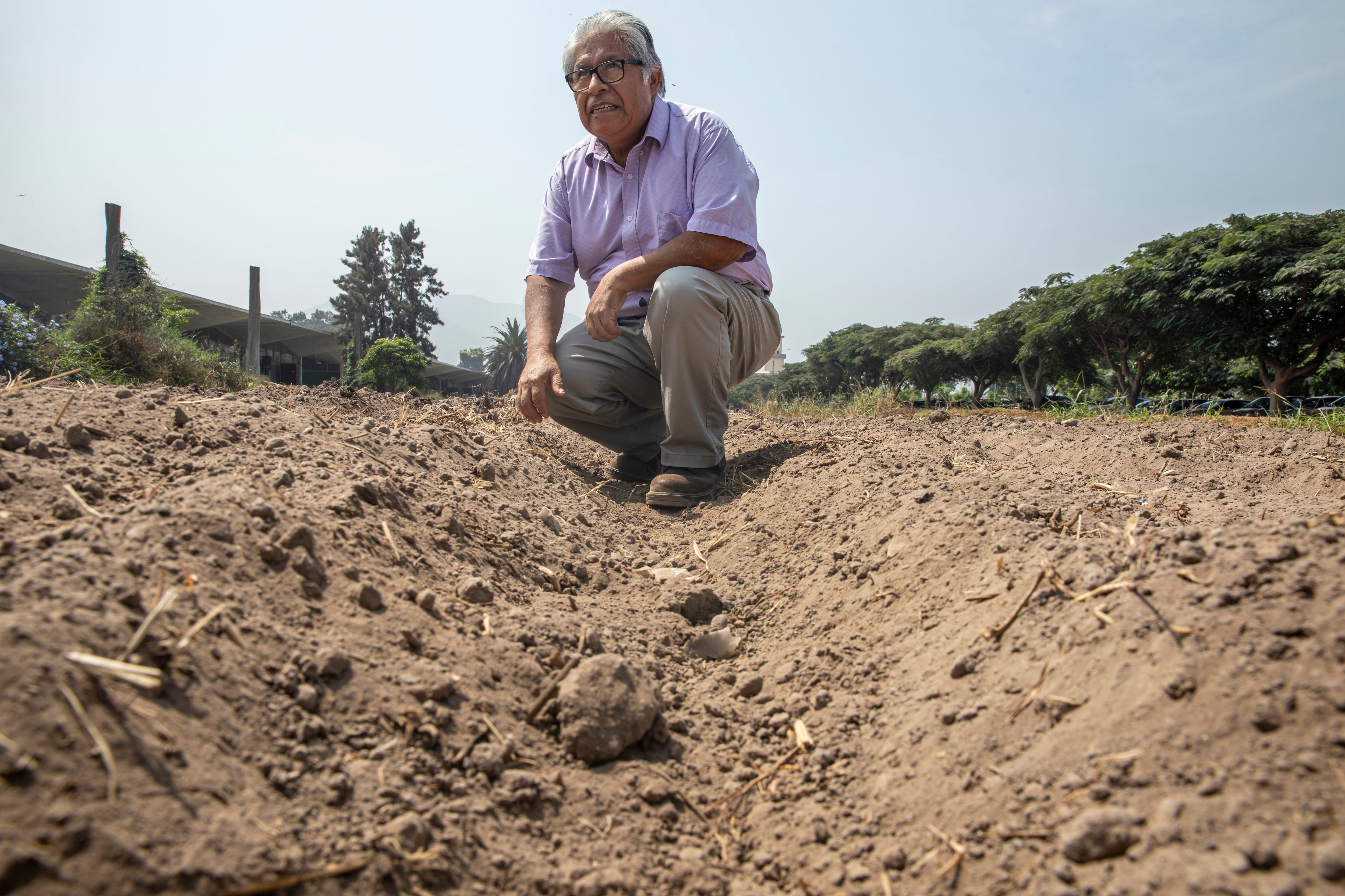 Alexander Rodríguez, Jefe del departamento de Entomología de la UNALM.