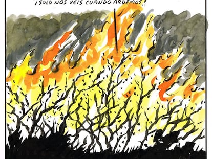 El Roto