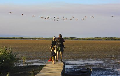 Una familia observa el paso de una bandada de flamencos en el delta del Ebro