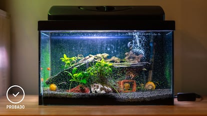 acuarios, acuarios plantados, acuarios pequeños, acuario amazon, pecera pequeña, comprar acuario, ¿cómo mantener un acuario en casa?, acuarios para principiantes, peces para acuarios, bricor acuarios, ¿qué necesito para empezar un acuario?, consejos para empezar un acuario, kit acuario principiantes