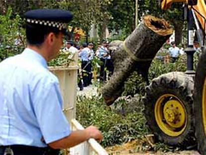 Efectivos de la Policía Local de Sevilla custodiaron ayer la tala de árboles en la Alameda de Hércules.
