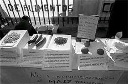 Protesta contra los alimentos transgénicos en Madrid.