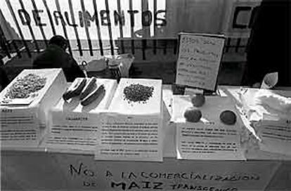 Protesta contra los alimentos transgénicos en Madrid.