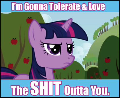 pony meme