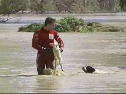 60 desalojados por la crecida del Guadalquivir en Córdoba